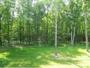 7108 South Lodge Road Bloomington, IN 47403 - Photo 4 of 16 Gallery Image 4
