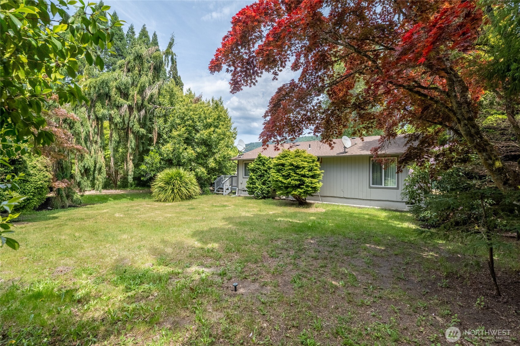 369 East Birnie Slough Road Cathlamet, WA 98612 - Photo 20 of 31 a view of a backyard with large trees