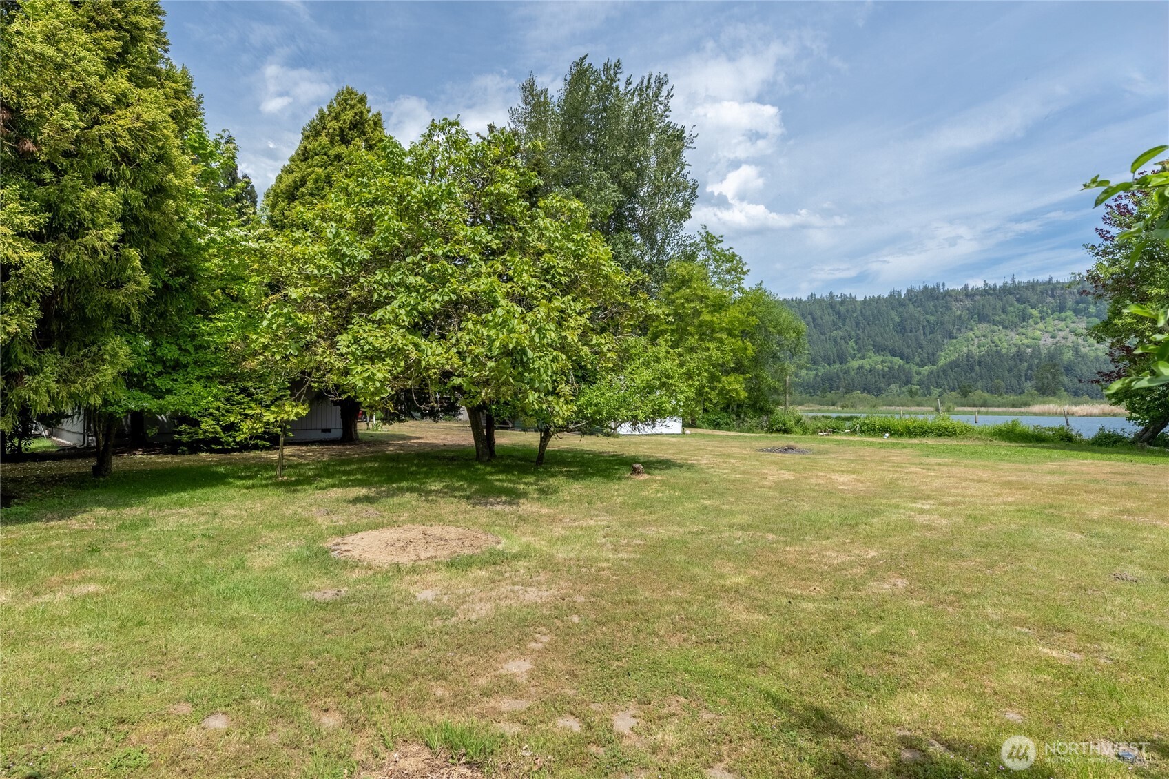 369 East Birnie Slough Road Cathlamet, WA 98612 - Photo 5 of 31 a view of a yard