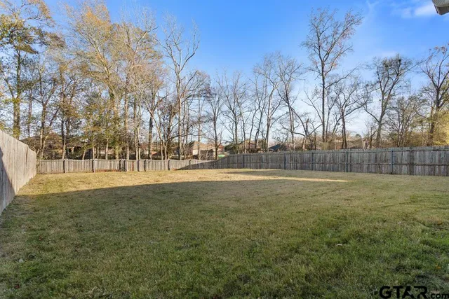 a view of yard with green space