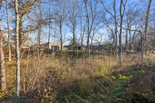 a backyard of a house with lots of green space