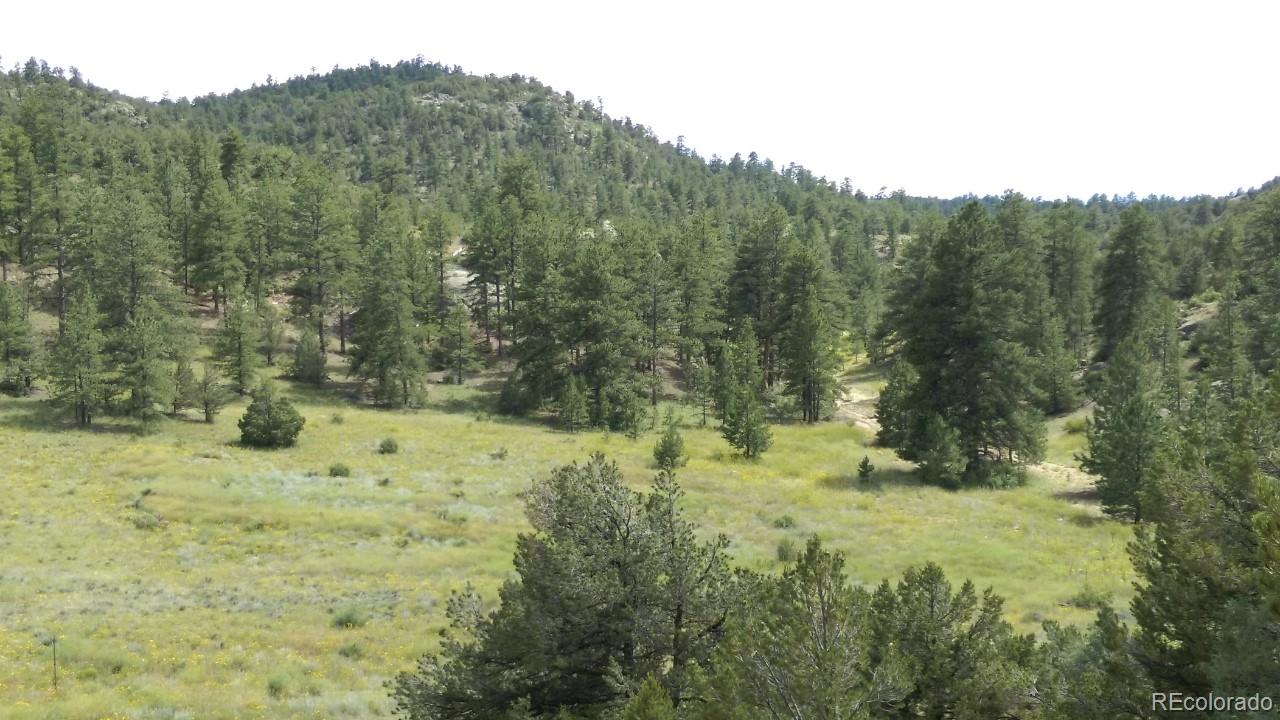 Bear Run Cotopaxi, CO 81223 - Photo 2 of 3