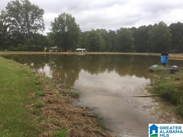 6777 Loveless Park Loop Bessemer, AL 35022 - Photo 12 of 25