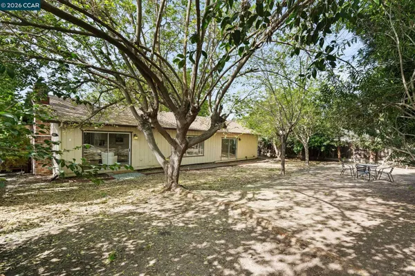 a view of a yard with a house and a tree