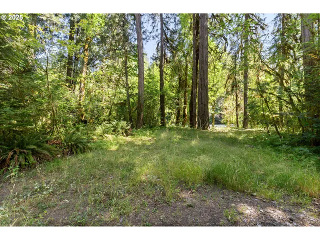 $550,000 | Mckenzie River Drive, Unit 1800, Blue River, OR 97413
