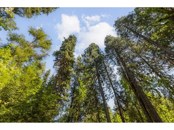 $550,000 | Mckenzie River Drive, Unit 1800, Blue River, OR 97413