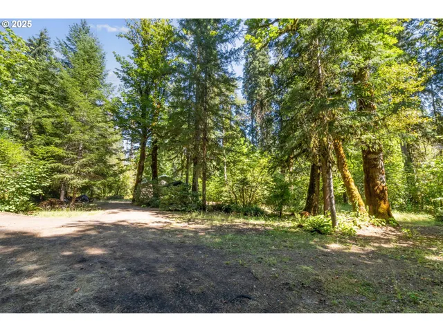 $550,000 | Mckenzie River Drive, Unit 1800, Blue River, OR 97413