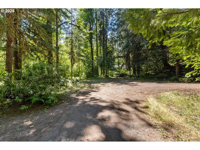 $550,000 | Mckenzie River Drive, Unit 1800, Blue River, OR 97413