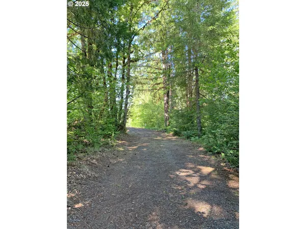 $550,000 | Mckenzie River Drive, Unit 1800, Blue River, OR 97413