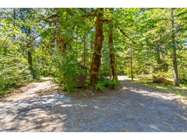 $550,000 | Mckenzie River Drive, Unit 1800, Blue River, OR 97413