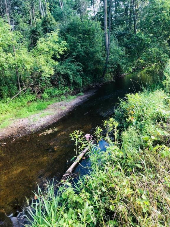 6607 Mt Hope Road Carson City, MI 48811 - Photo 2 of 6 20190814032614829695000000-o