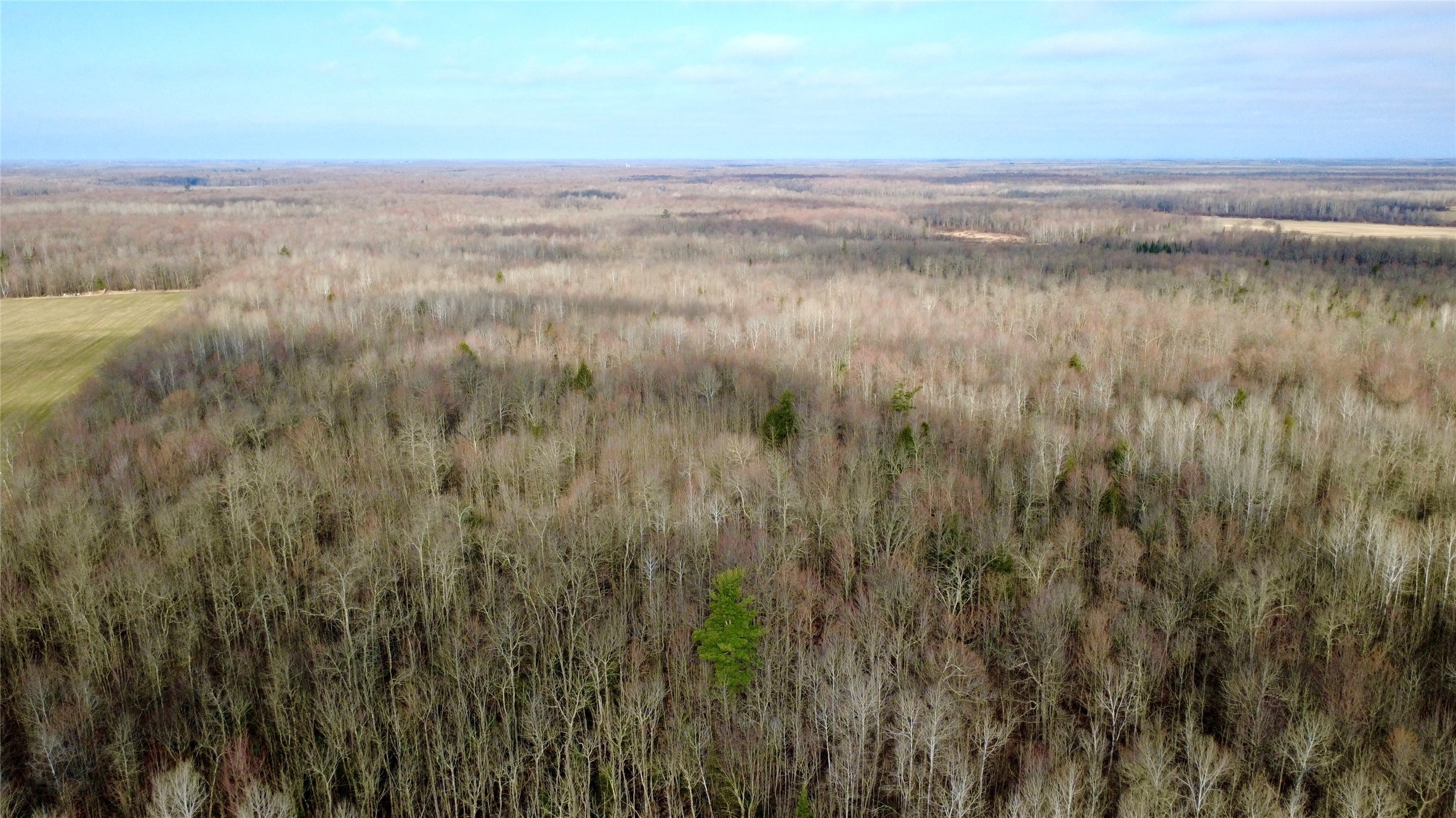N2615 Highway 73 Sheldon, WI 54766 - Photo 26 of 26