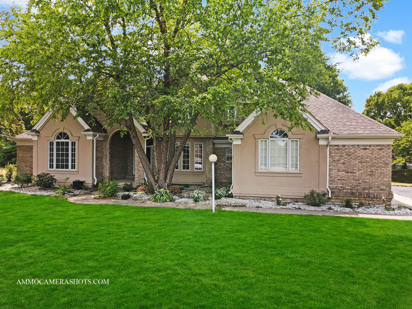 a front view of house with yard and green space