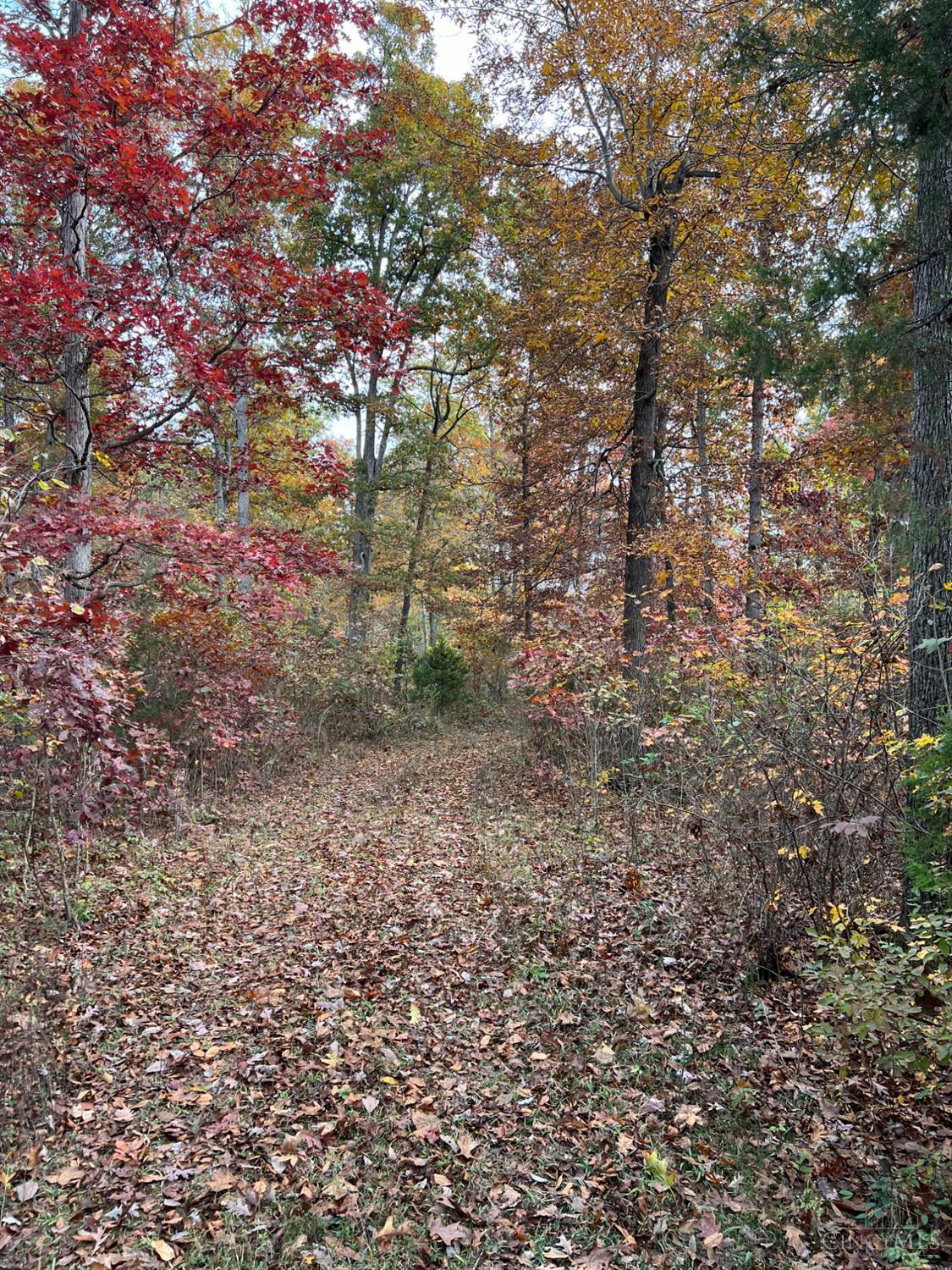 0 Harriet Road Hillsboro, OH 45133 - Photo 46 of 96
