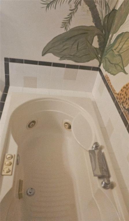 1610 Indiana Avenue Palm Harbor, FL 34683 - Photo 27 of 61