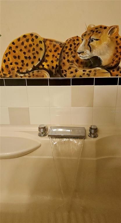 1610 Indiana Avenue Palm Harbor, FL 34683 - Photo 28 of 61