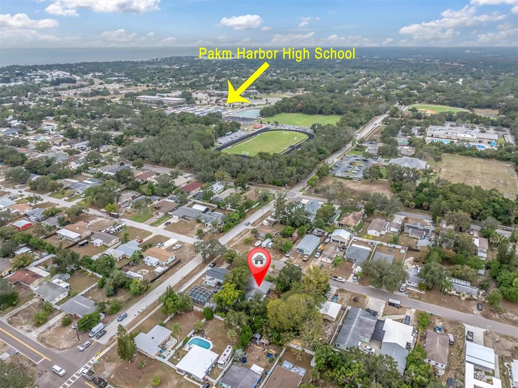 1610 Indiana Avenue Palm Harbor, FL 34683 - Photo 3 of 61