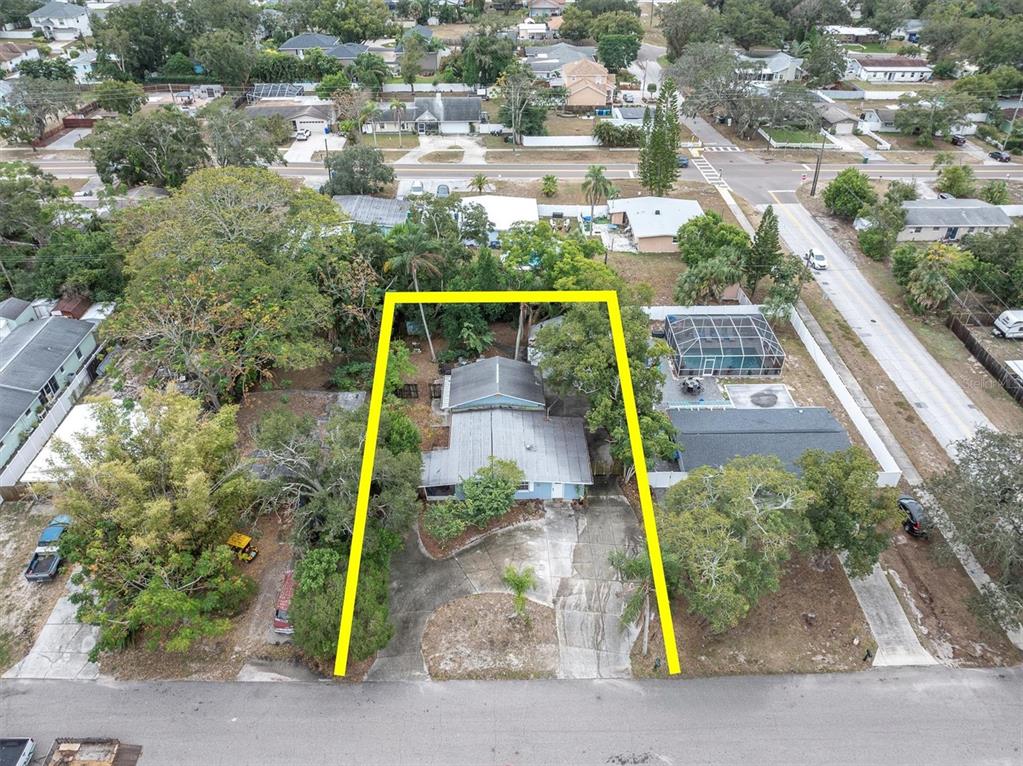 1610 Indiana Avenue Palm Harbor, FL 34683 - Photo 4 of 61