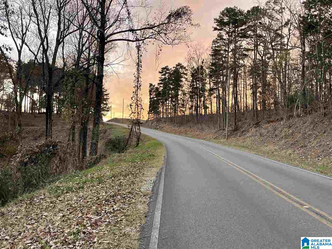 7931 Goodner Mountain Road Trussville, AL 35173 - Photo 14 of 20