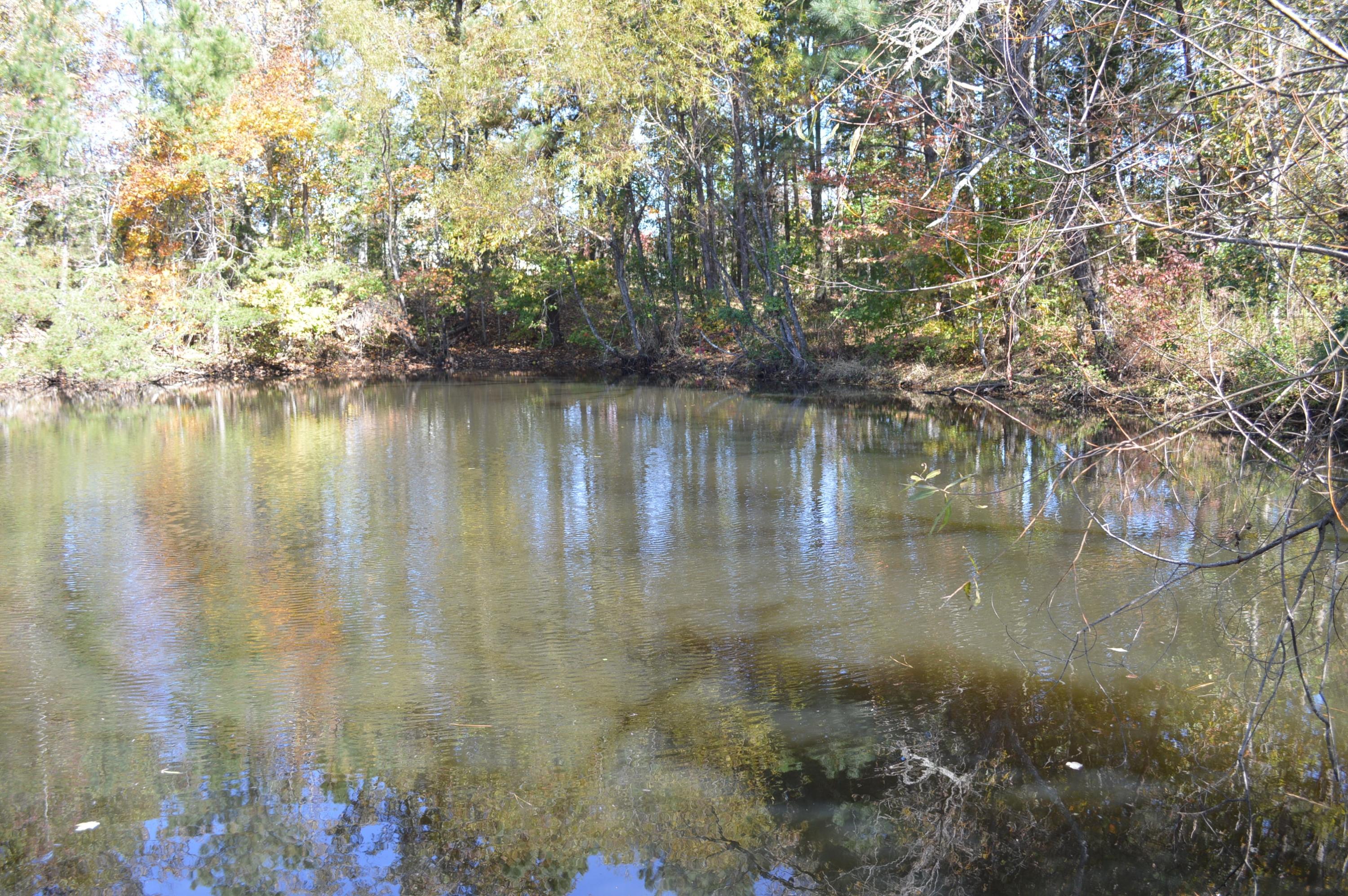 4050 Hidden Valley Road Cleveland, TN 37312 - Photo 8 of 13 pond (4)