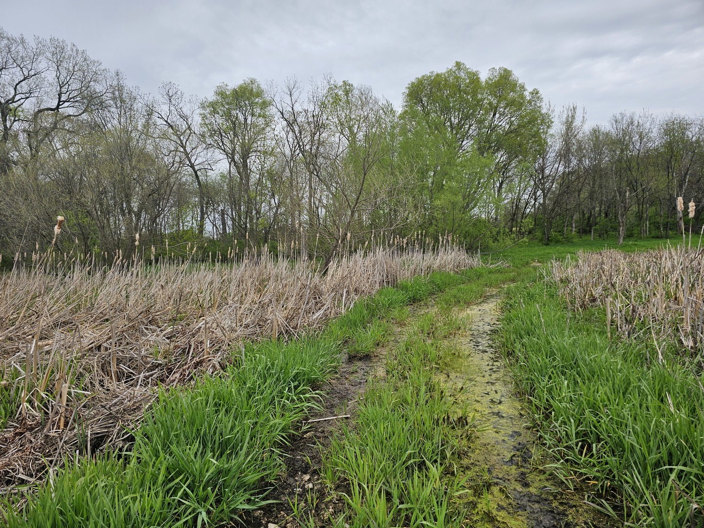 8775 East Highpoint Road Yorkville, IL 60560 - Photo 46 of 51 Gallery Image 46