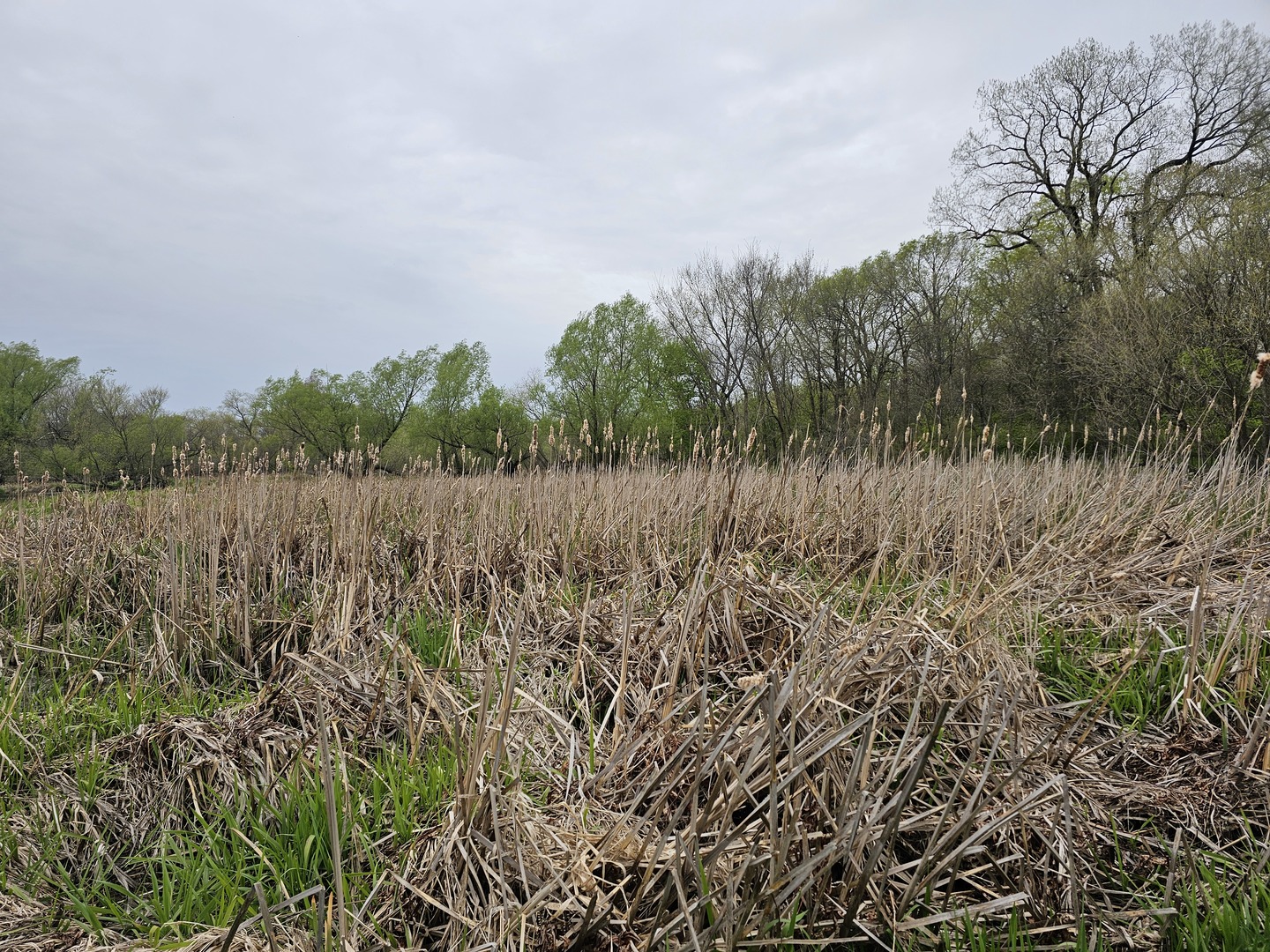 8775 East Highpoint Road Yorkville, IL 60560 - Photo 47 of 51 Gallery Image 47