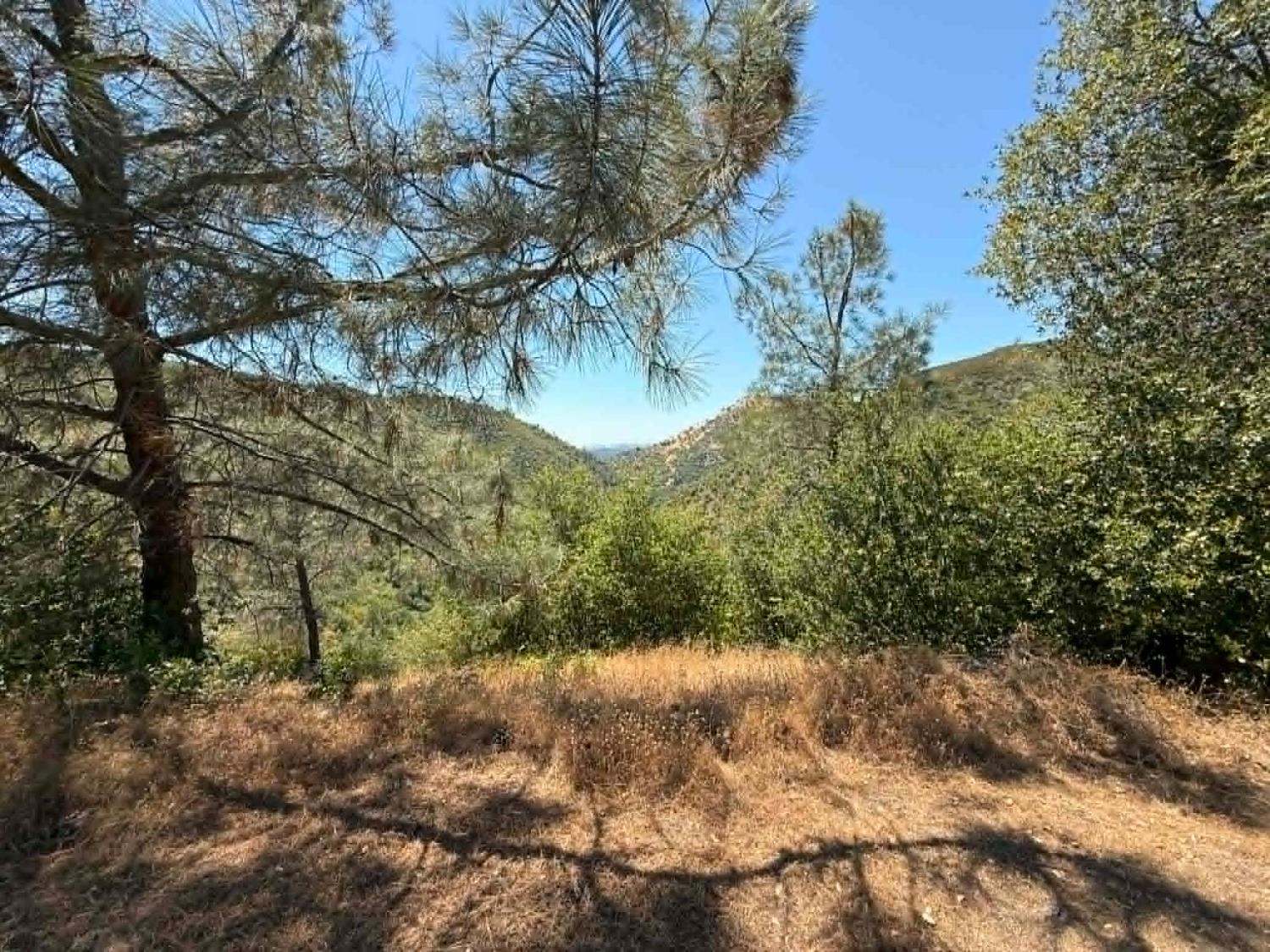 4441 Mountain Ranch Road San Andreas, CA 95249 - Photo 30 of 30