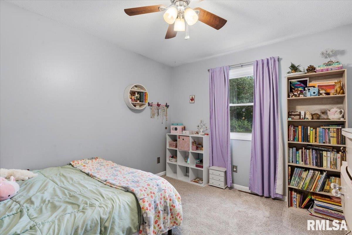 11 Rock Road Chatham, IL 62629 - Photo 25 of 40