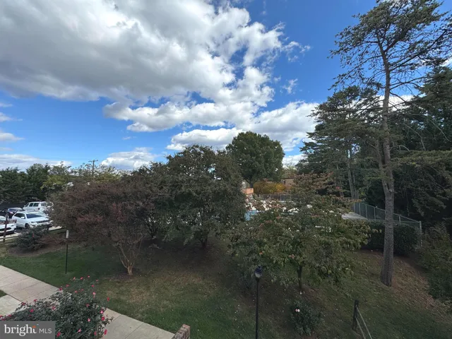 a view of a lake in middle of forest