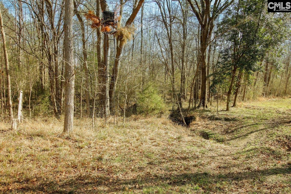 561 Church Road Batesburg, SC 29006 - Photo 24 of 24