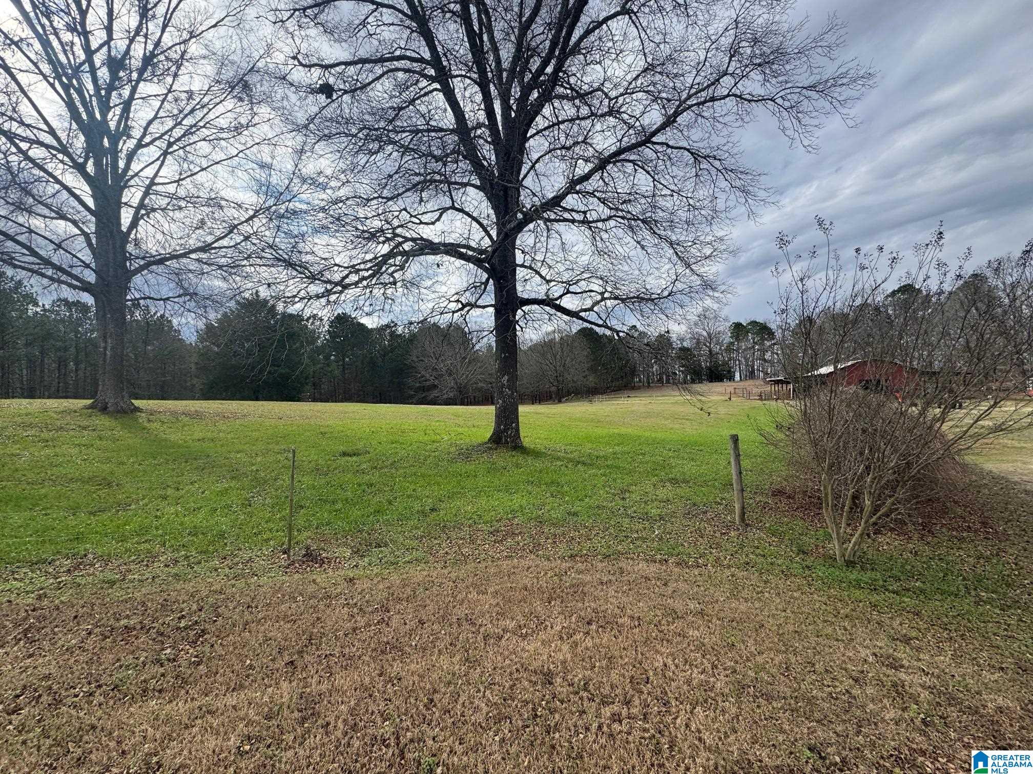 3953 Logan Martin Dam Road Cropwell, AL 35054 - Photo 77 of 99