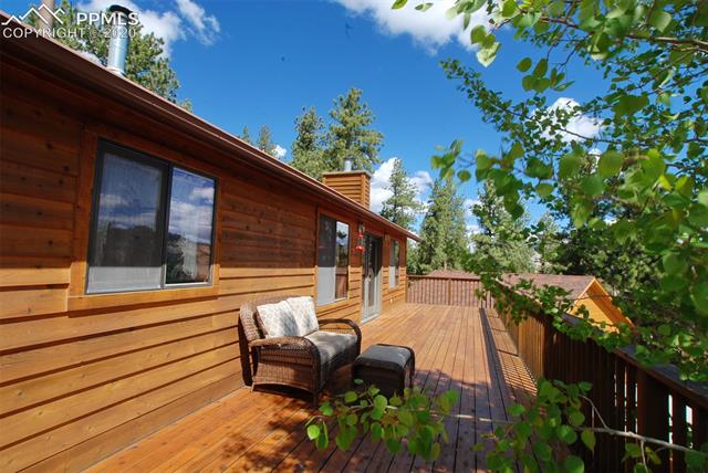 956 Bristlecone Road Guffey, CO 80820 - Photo 6 of 17 Gallery Image 6
