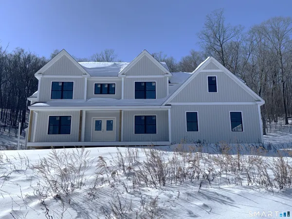 a front view of a house with yard