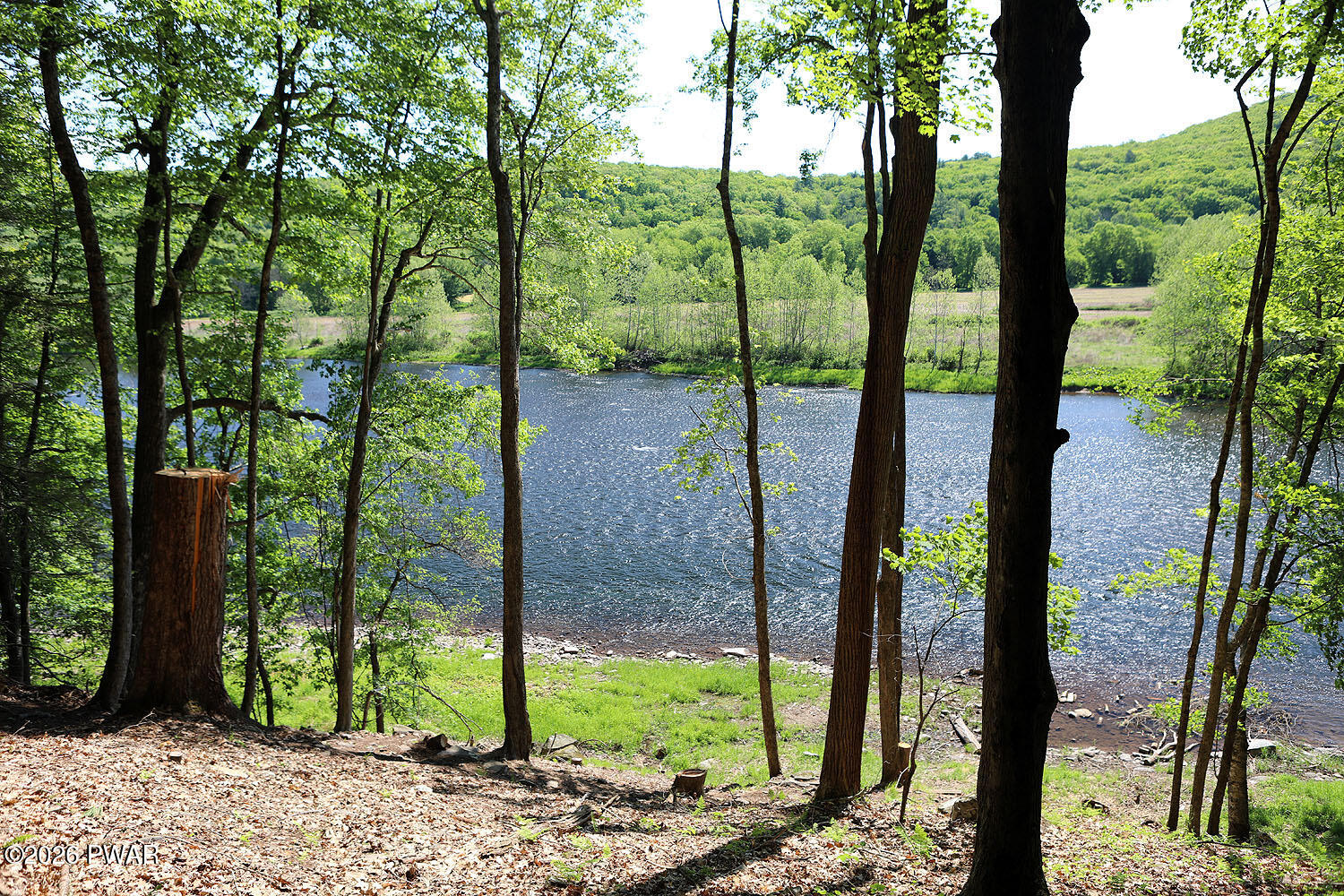 2194 River Road Damascus, PA 18415 - Photo 12 of 39