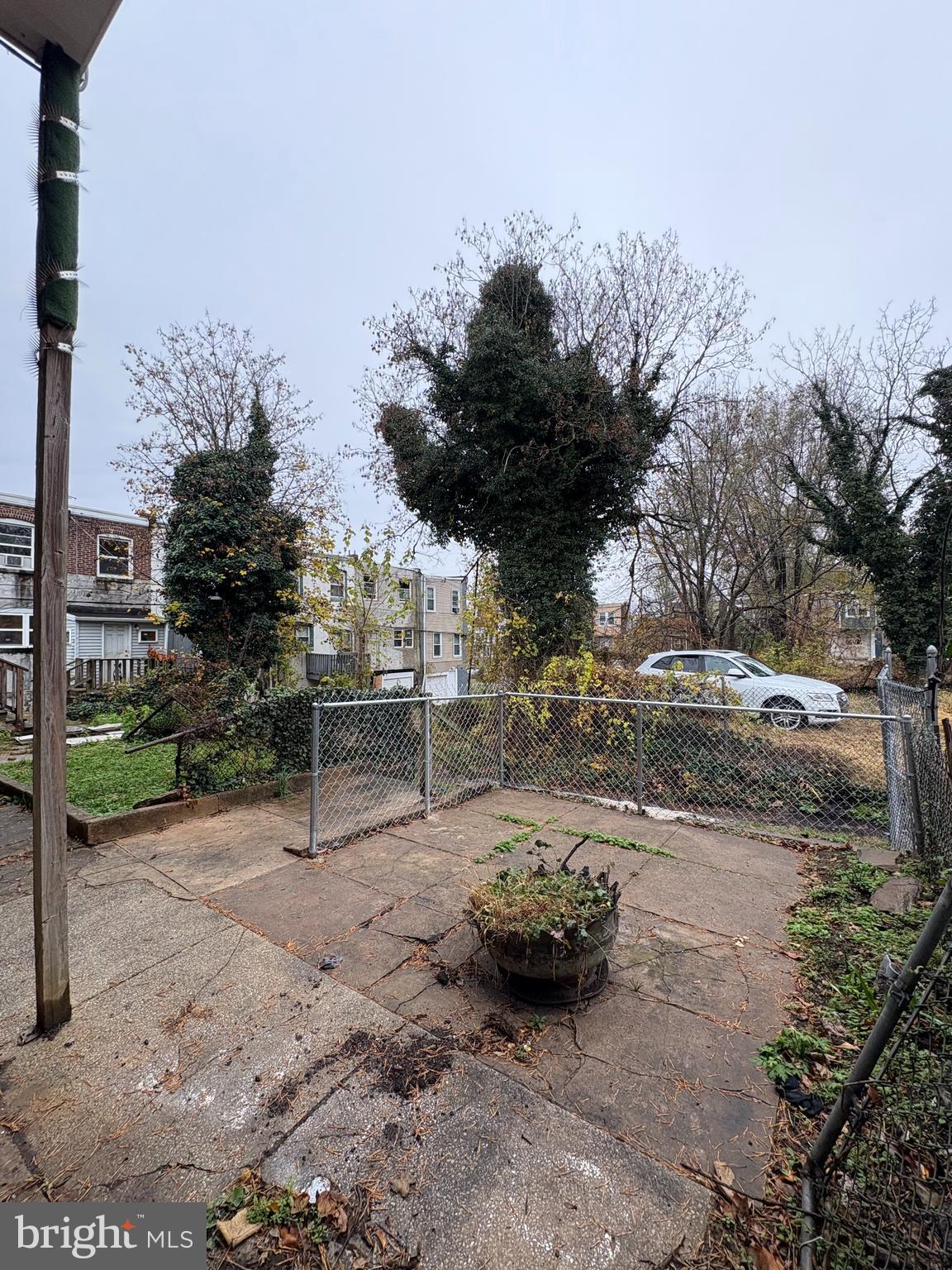 5504 Devon Street Philadelphia, PA 19138 - Photo 15 of 16 a view of a yard with a tree