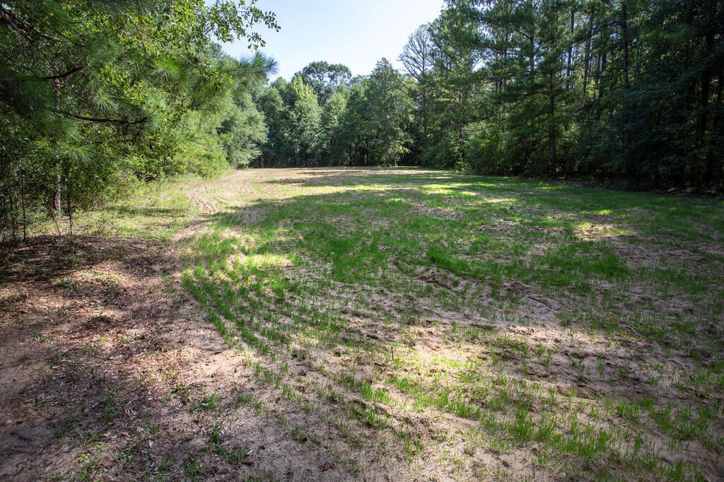 0 Cottonhill Road Eufaula, AL 36027 - Photo 5 of 33 Gallery Image 5