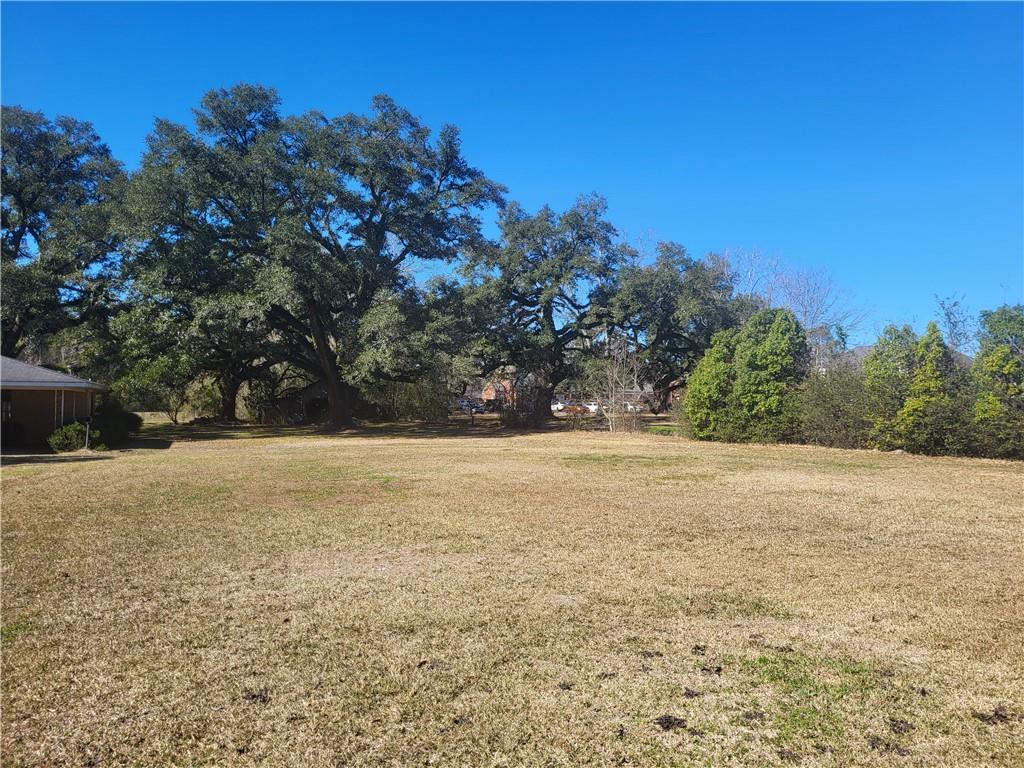 41605 Veterans Avenue Hammond, LA 70403 - Photo 2 of 12