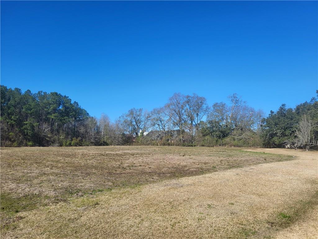 41605 Veterans Avenue Hammond, LA 70403 - Photo 3 of 12