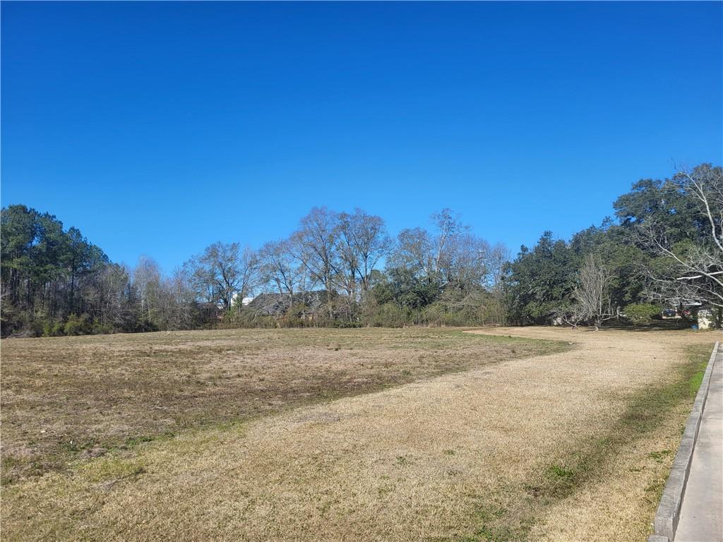 41605 Veterans Avenue Hammond, LA 70403 - Photo 4 of 12