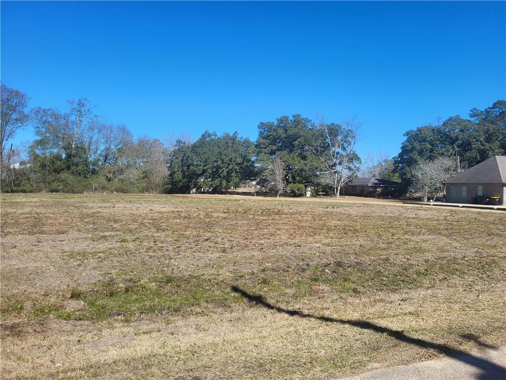 41605 Veterans Avenue Hammond, LA 70403 - Photo 5 of 12