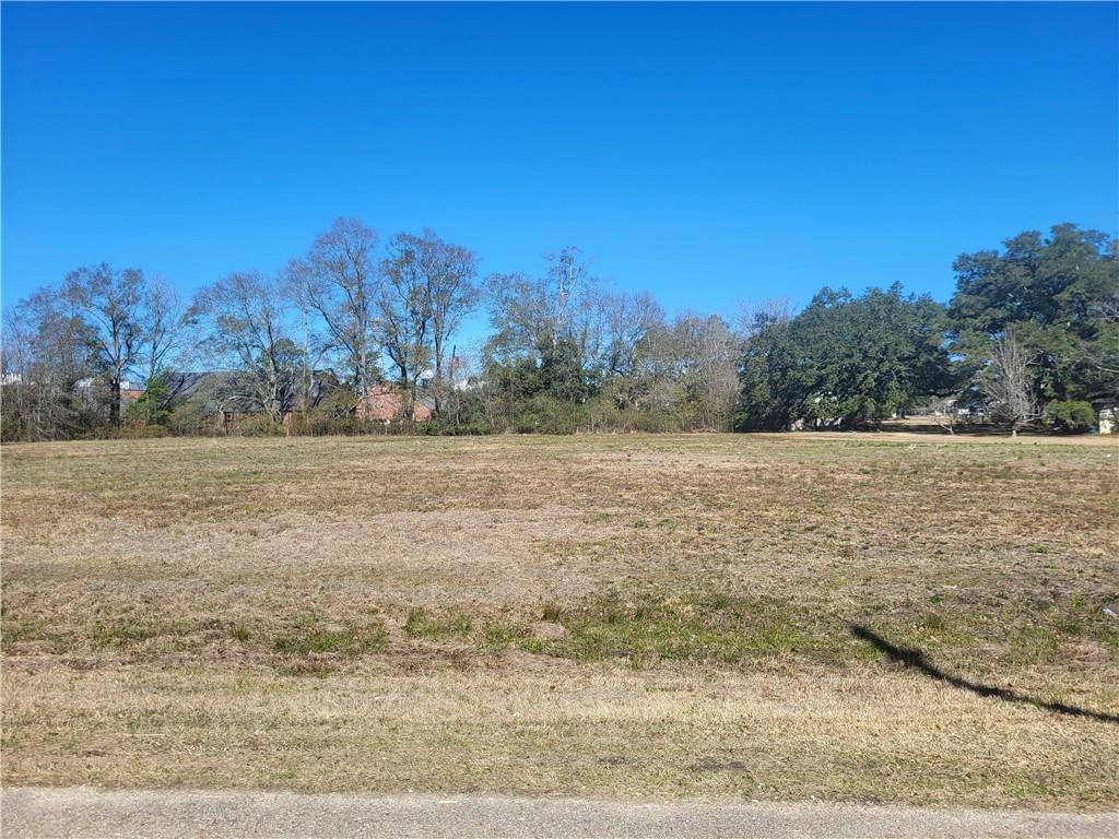 41605 Veterans Avenue Hammond, LA 70403 - Photo 6 of 12
