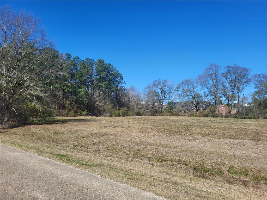 41605 Veterans Avenue Hammond, LA 70403 - Photo 7 of 12