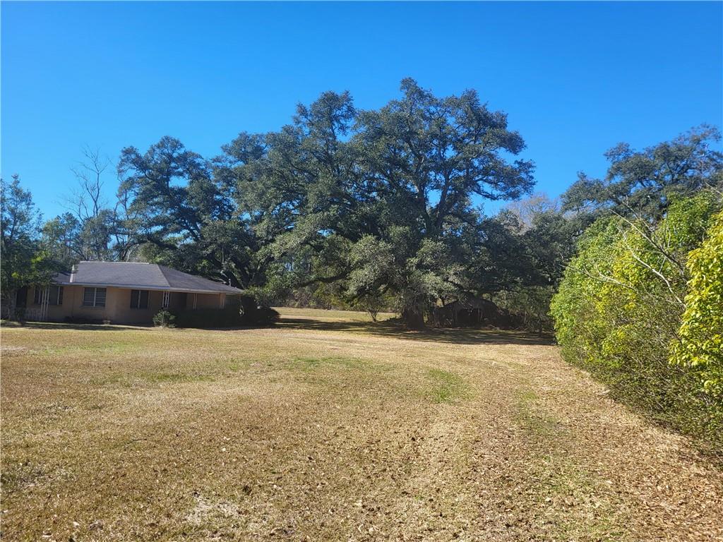 41605 Veterans Avenue Hammond, LA 70403 - Photo 8 of 12