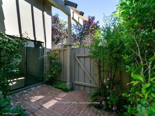 a view of a backyard with potted plants