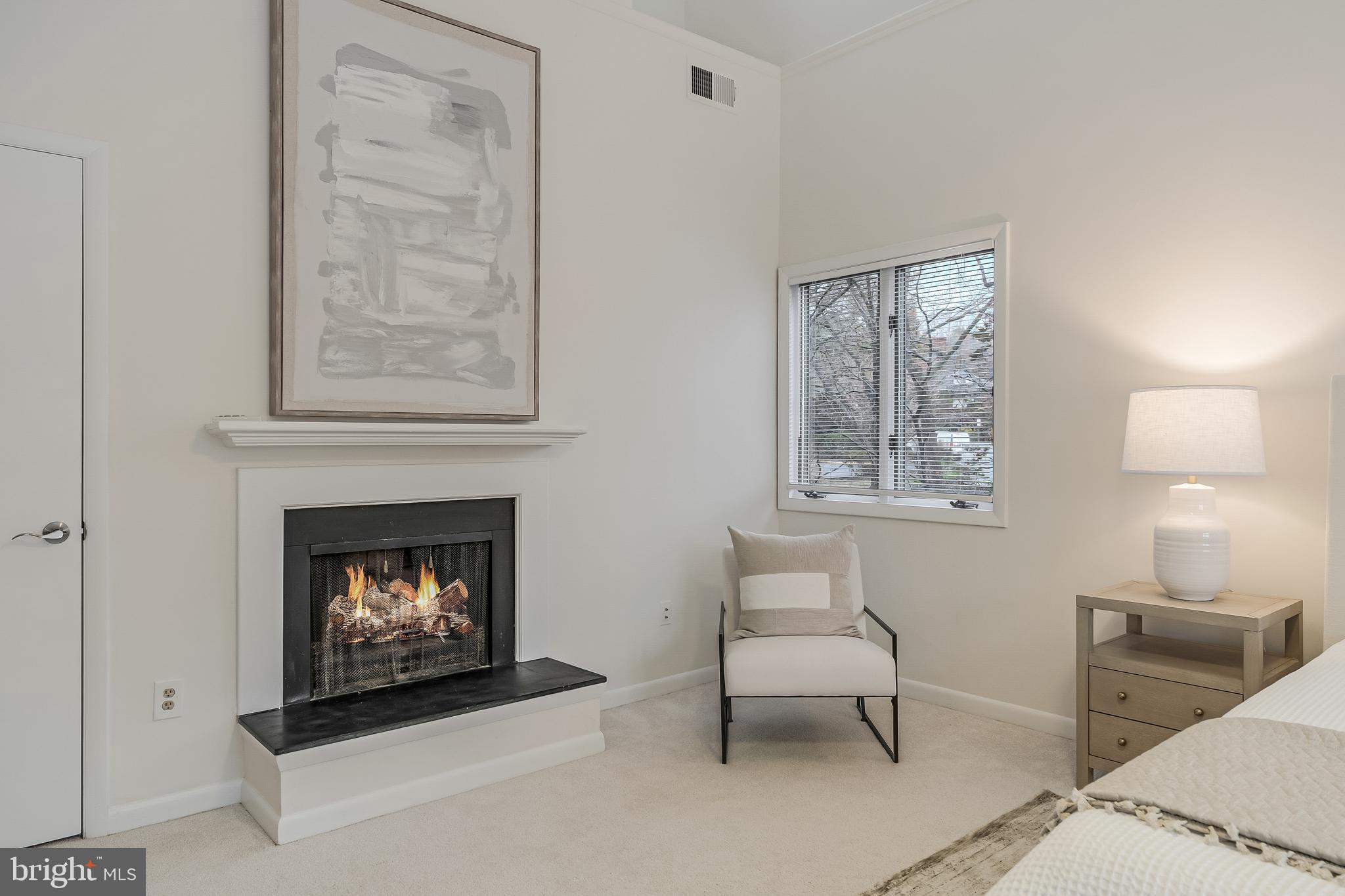 2261 Cedar Cove Court Reston, VA 20191 - Photo 52 of 102 a living room with furniture and a fireplace