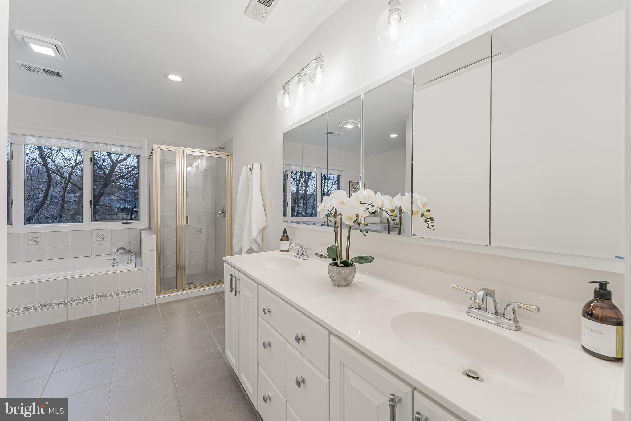 2261 Cedar Cove Court Reston, VA 20191 - Photo 54 of 102 a bathroom with a tub sink and mirror