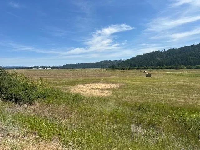 $130,000 | 46-xx Springdale Hunters Road, Springdale, WA 99173