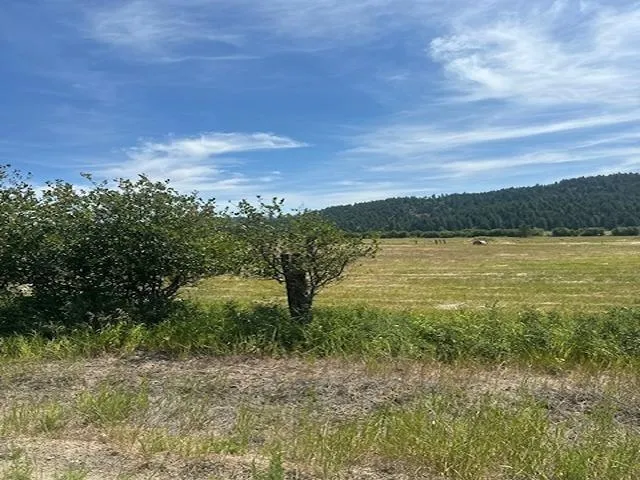 $130,000 | 46-xx Springdale Hunters Road, Springdale, WA 99173