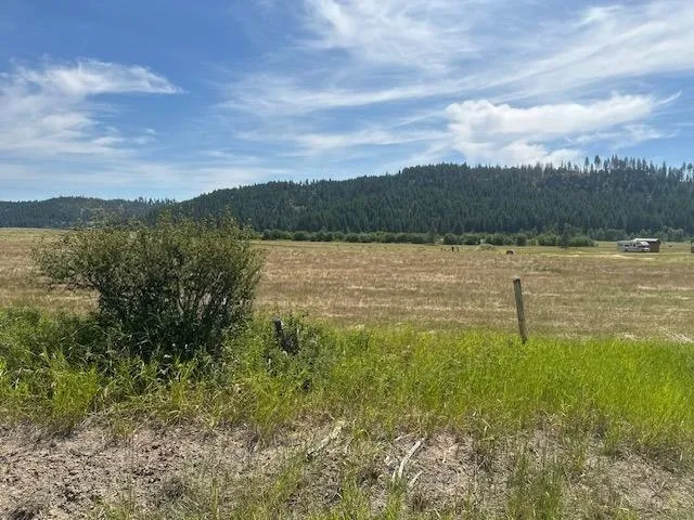 $130,000 | 46-xx Springdale Hunters Road, Springdale, WA 99173