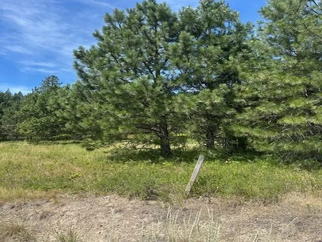 $130,000 | 46-xx Springdale Hunters Road, Springdale, WA 99173